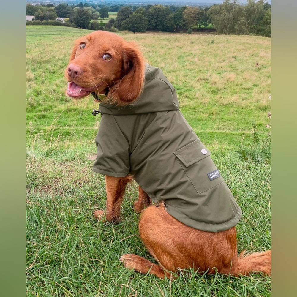 Django Highland Cold Weather Dog Jacket and Raincoat; Large; Olive